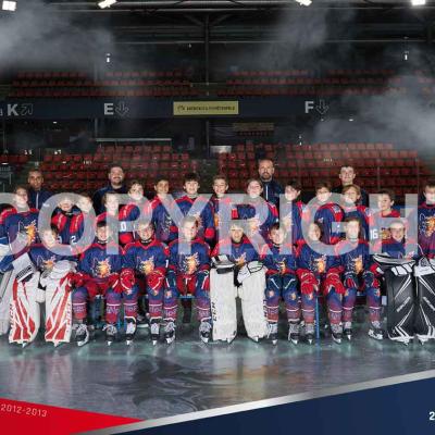 U13 2012 2013 Poster